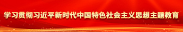 插女人视频学习贯彻习近平新时代中国特色社会主义思想主题教育